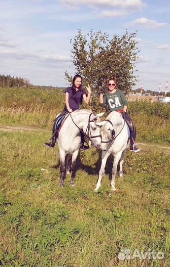 Конные прогулки