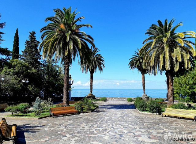 Абхазия из Санкт-Петербурга на двоих 6 ночей июнь