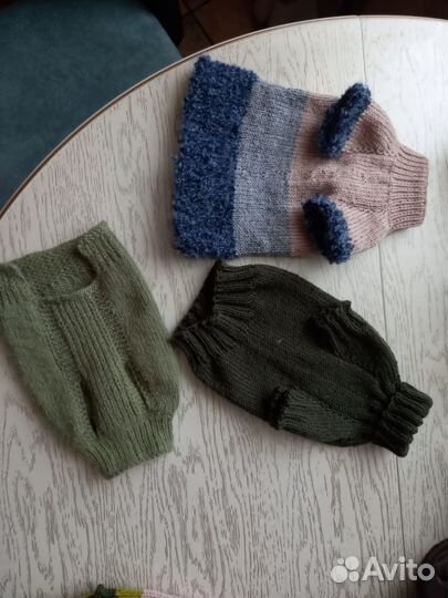 Одежда животным мелких пород,сфинксы