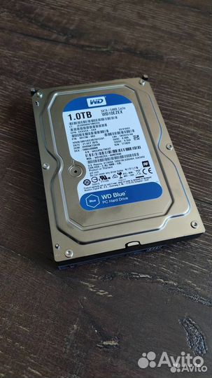 HDD WD 10ezex