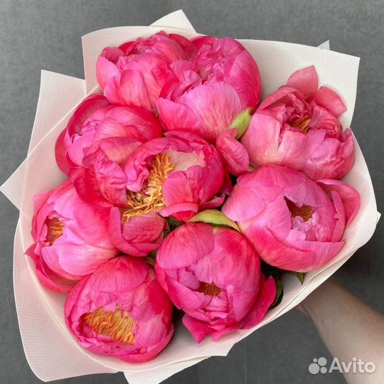 Пионы доставка