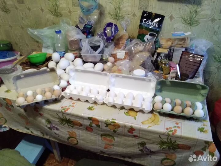 Продаю яйца куриные, гусиные