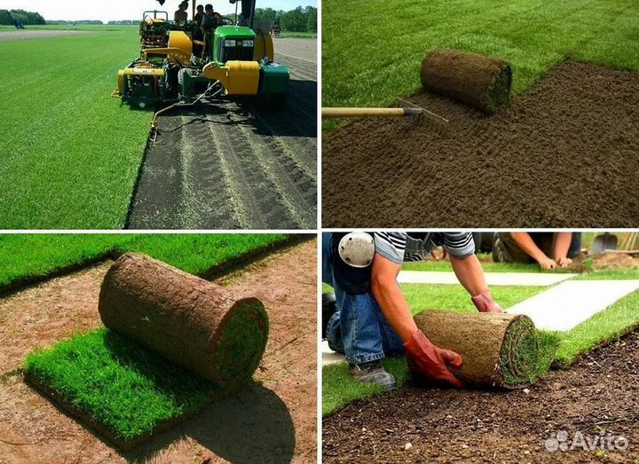 Газон от производителя