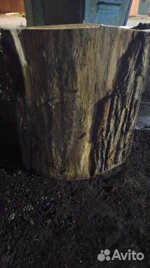 Дубовая колода для рубки мяса / пень