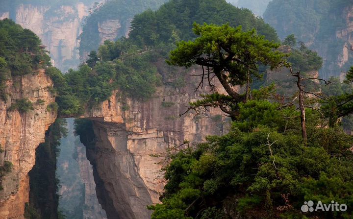 Relax-тур в Китай от 6 дн