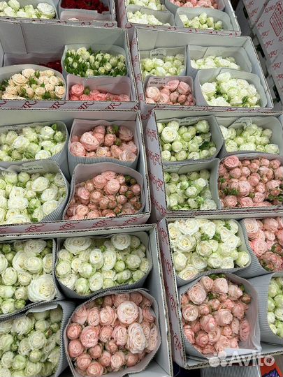 Цветочный бизнес Flowwow (рейтинг 4.88)