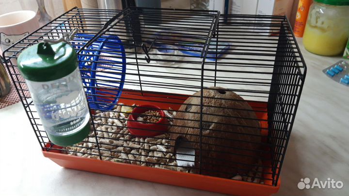 Клетка для джунгарского хомяка