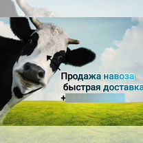 Продажа навоза