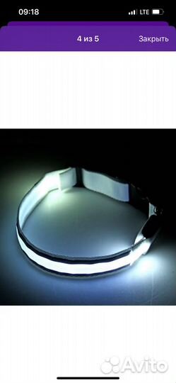 Ошейник для собак светящийся