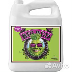 Advanced Nutrients Big Bud Liquid опт розница