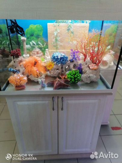 Аквариум. Аквариум с тумбой, с крышкой