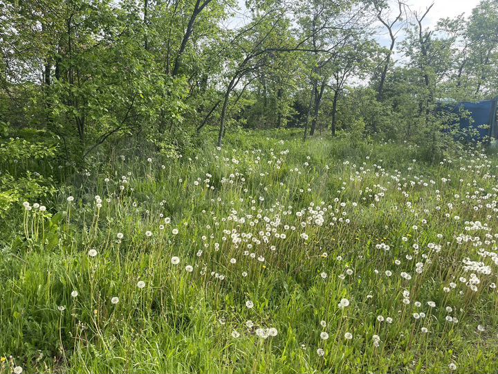 Участок 27 сот. (СНТ, ДНП)