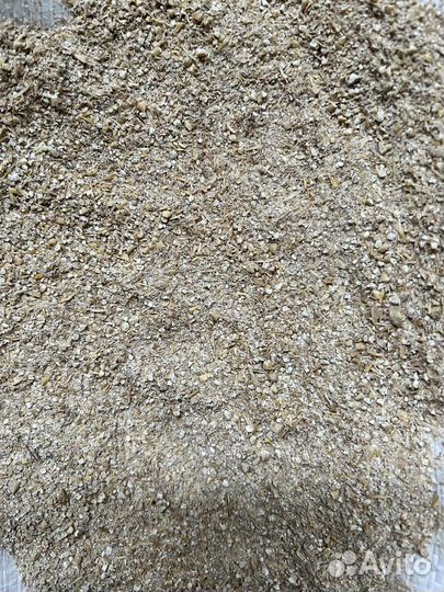 Зерно пшеница ячмень кукуруза овёс просо