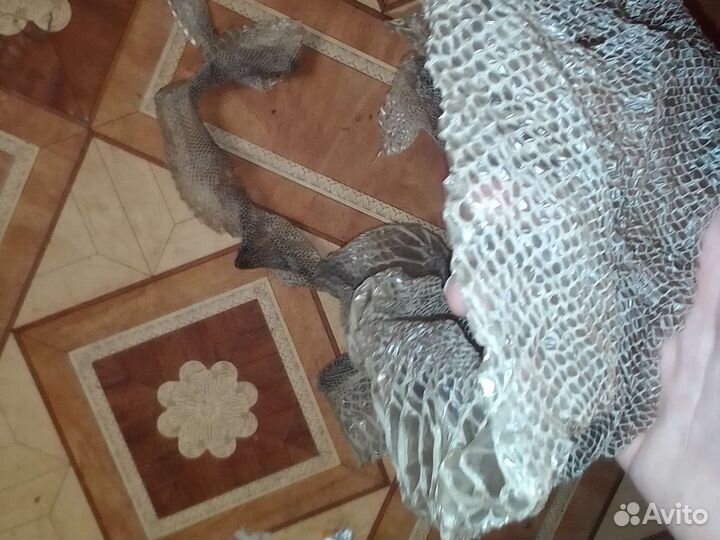 Выползень змеи 2м