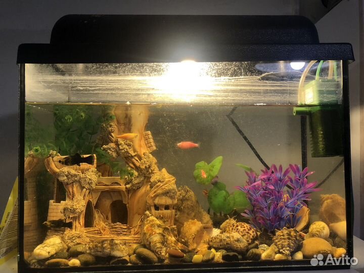 Аквариум с рыбками