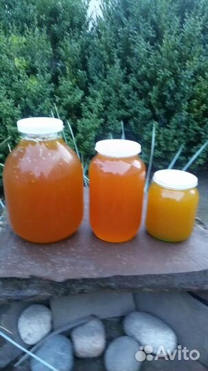 Мед урожай 2023 г