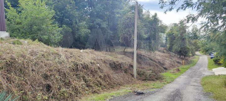 Участок 20 сот. (ИЖС)