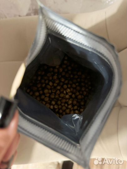 Корм для собак