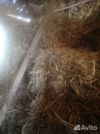 Сено в тюках 2023