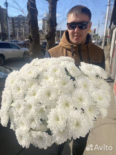 Хризантема кустовая суперакция