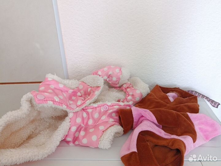 Вещи для маленьких собак