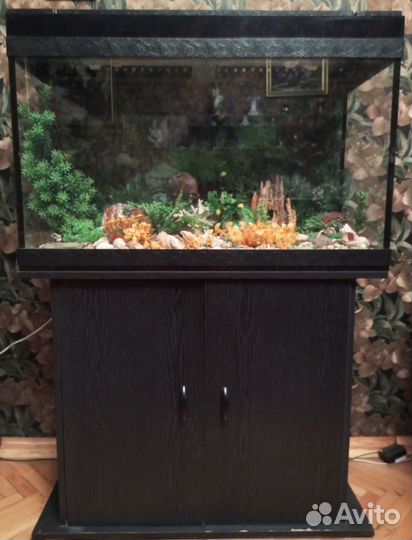 Аквариум с тумбой бу