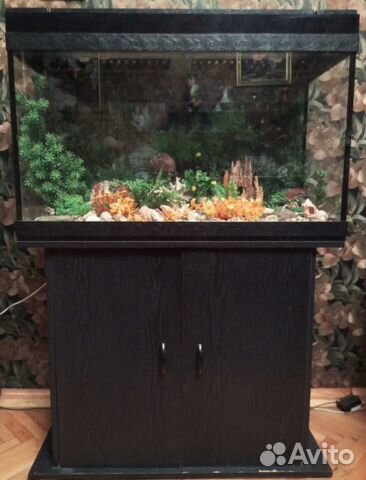 Аквариум с тумбой бу
