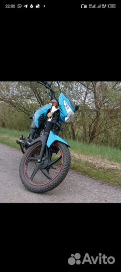 Продам альфу,цена в лс