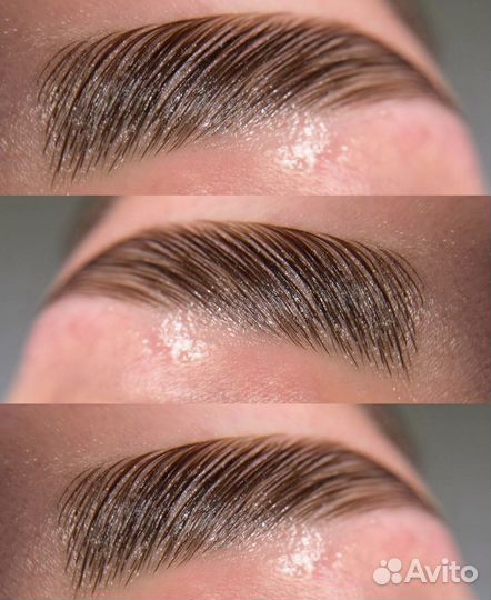 Обучение курс бровист