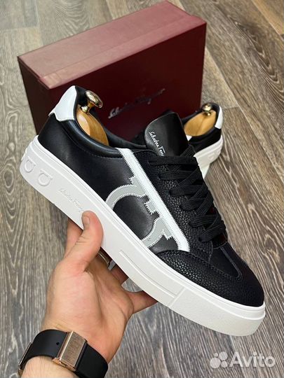 Кеды мужские salvatore осенние