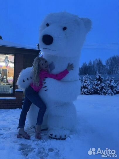 Белый мишка поздравление