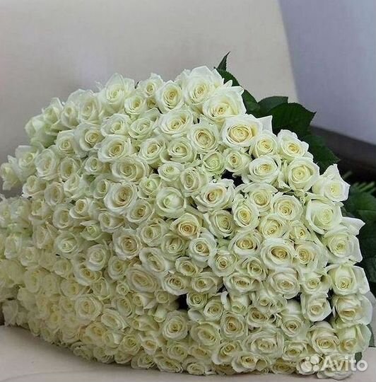 Розы Цветы Букеты 25 51 151 201 101 301 501 опт