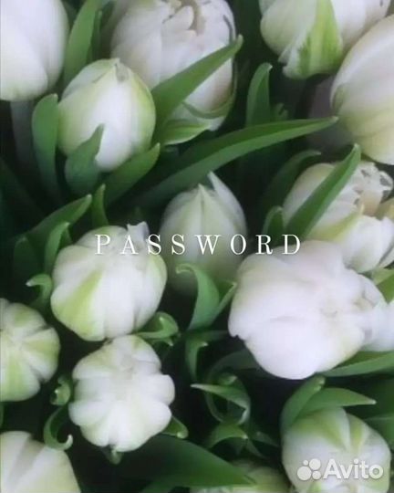 Тюльпаны луковицы махровые пионовидные