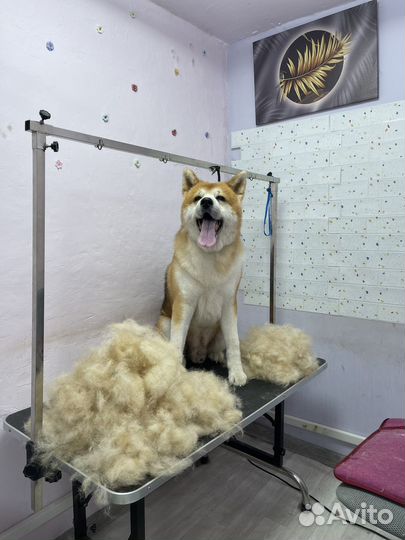 Экспресс линька собак и кошек