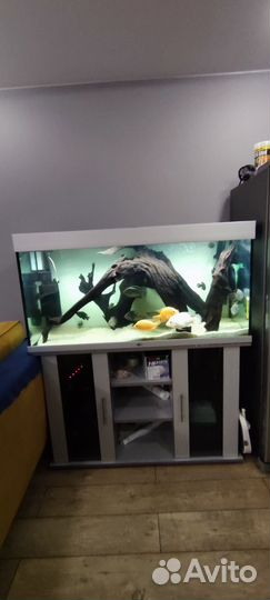 Аквариум Биодизайн Атолл 400