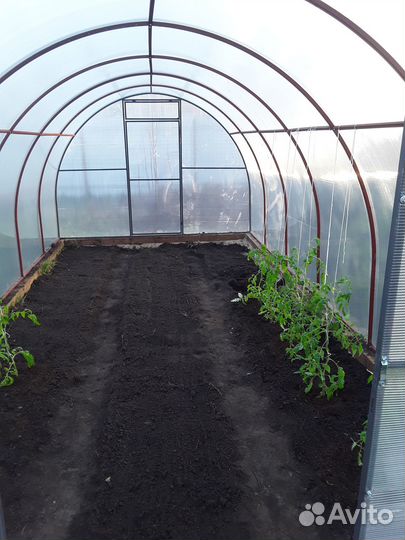Готовые теплицы
