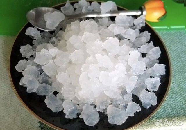 Индийский морской рис