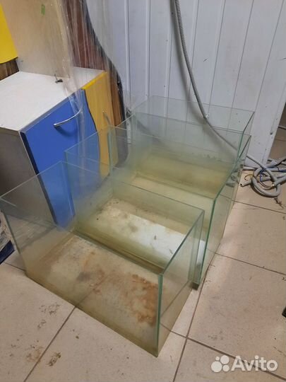 Аквариум террариум