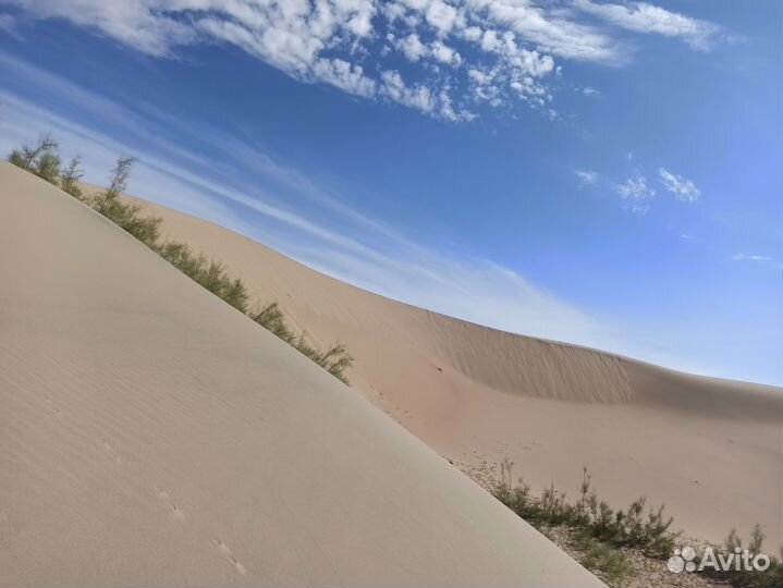 Экскурсии по горному алтаю