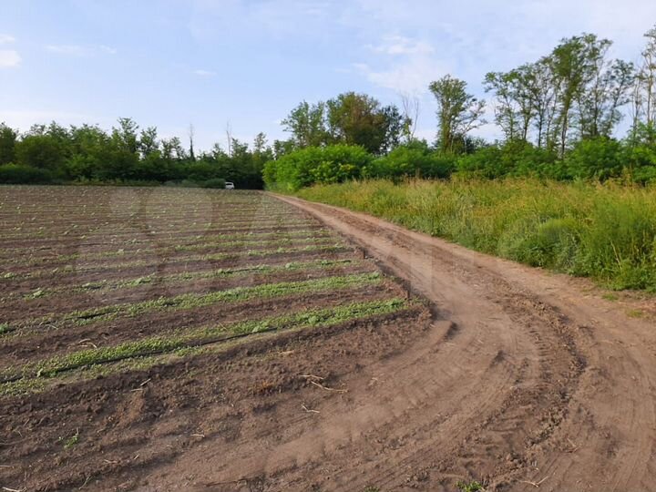 Участок 70 сот. (ИЖС)