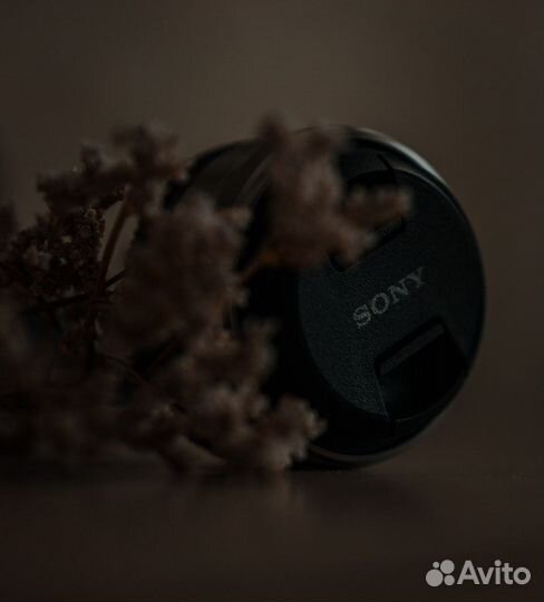 Объектив Sony E 2/8 16mm