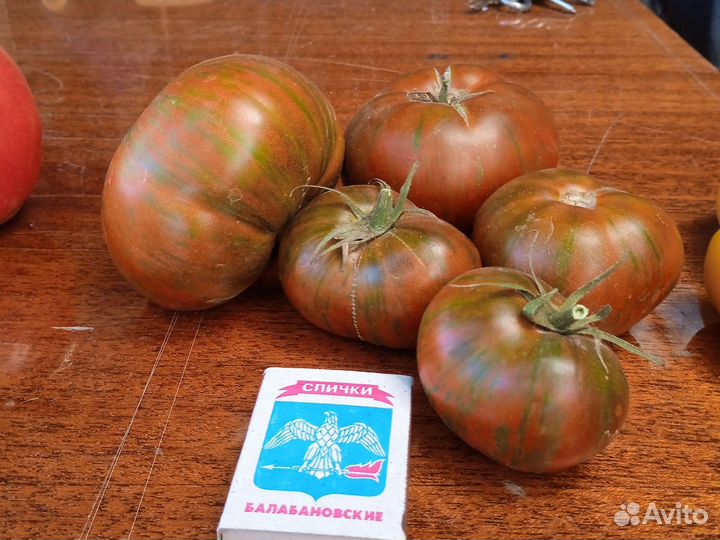 Семена помидоров томатов