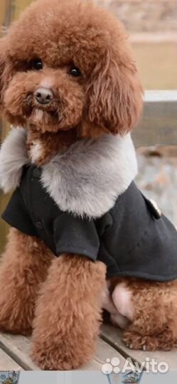 Пальто для собаки