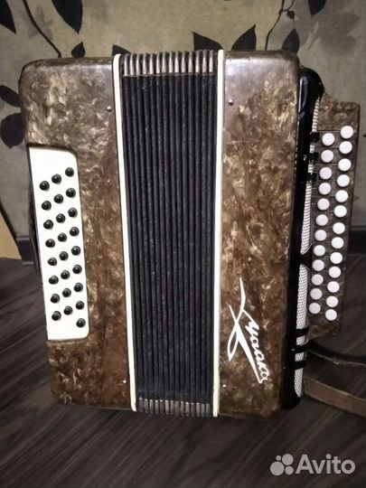 Гармонь Чайка