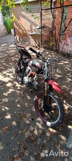 Альфа под стант