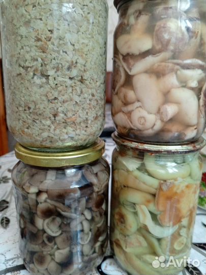 Грибы маринованные