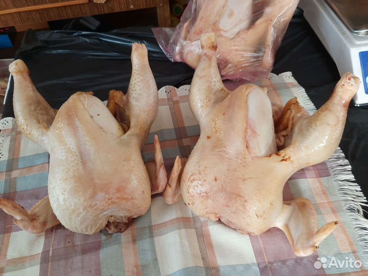 Курица деревенская Брама Индейка Фазан