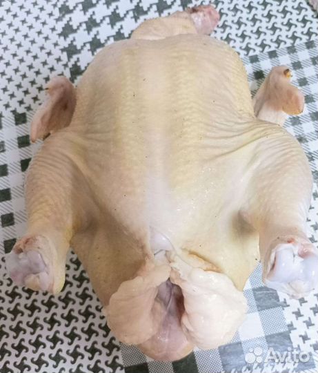Мясо домашнего бройлера