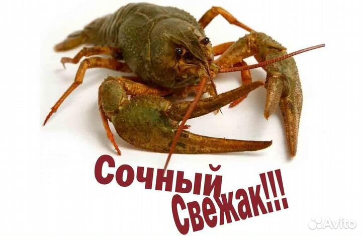 Раки живые всех категорий. Очень вкусные