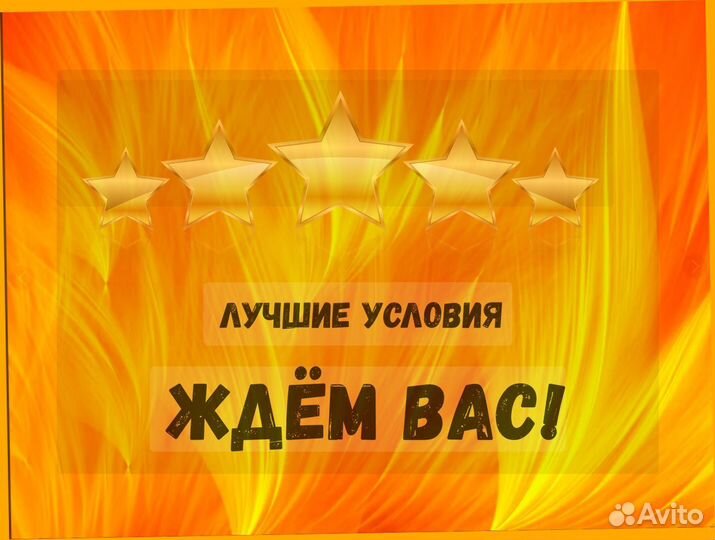 Сборщик заказов Выплаты еженедельно Без опыта М/Ж